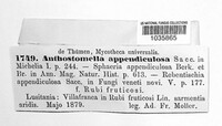 Image of Anthostomella appendiculosa